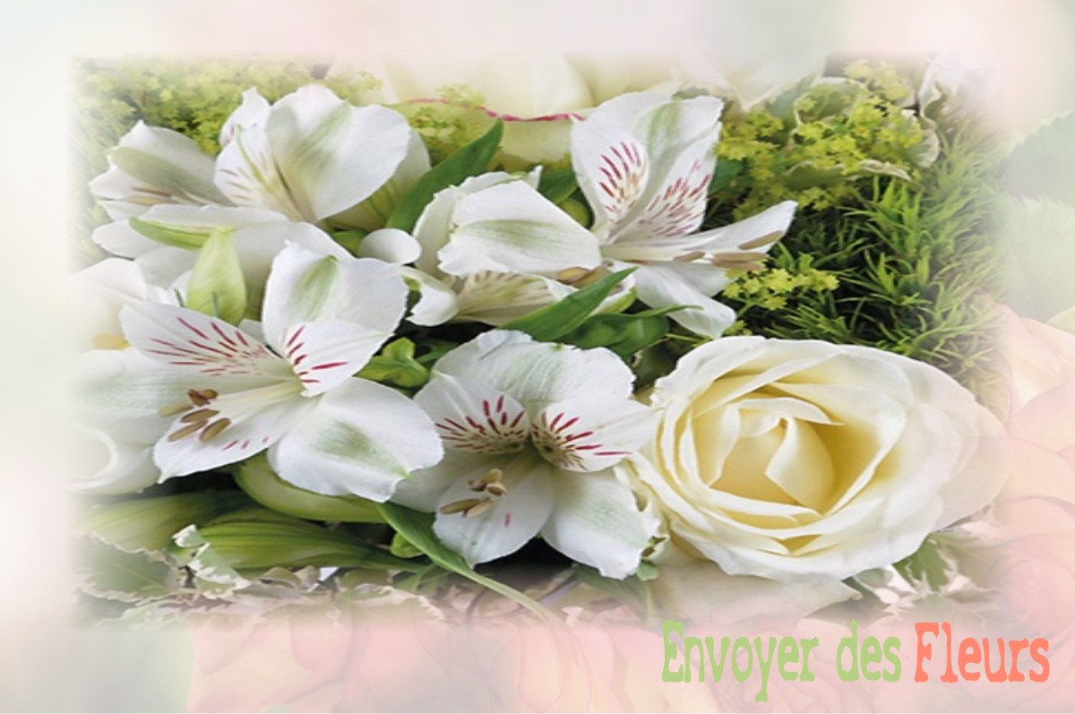 envoyer des fleurs à à SAINT-DENIS-DU-MAINE